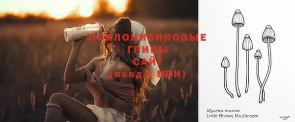 мет Белокуриха