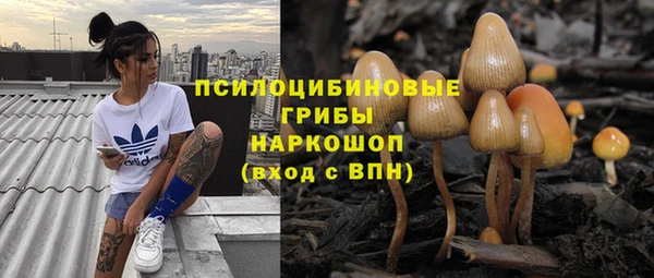 мет Белокуриха