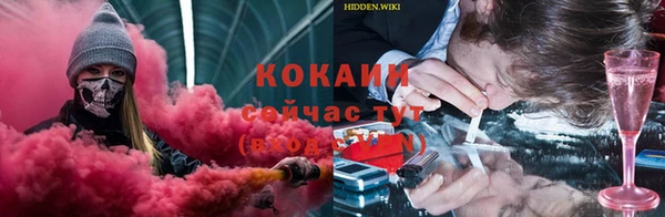 ПСИЛОЦИБИНОВЫЕ ГРИБЫ Белоозёрский