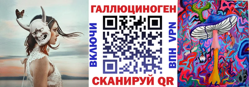 закладка  Полесск  Псилоцибиновые грибы GOLDEN TEACHER 